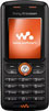 Sony Ericsson W200i