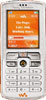 Sony Ericsson W800i